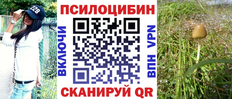 Галлюциногенные грибы MAGIC MUSHROOMS  маркетплейс какой сайт  Вельск  ссылка на мегу вход 